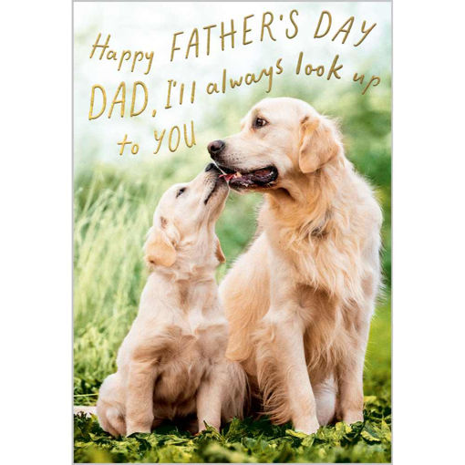 Picture of HAPPY FATHERS DAY ILL ALWAYS LOOK UP TO YOU